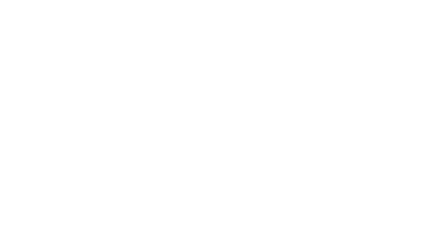آکادمی آن